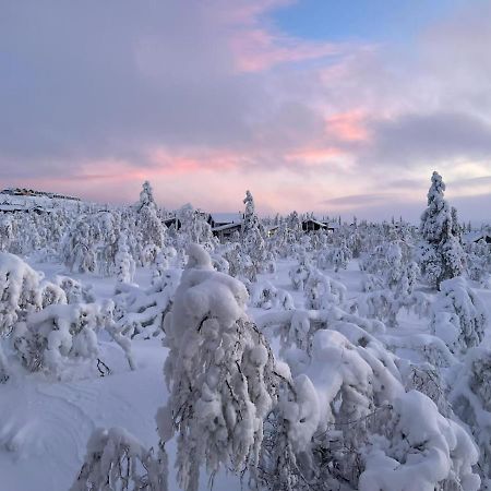 Villa Haukka ساريسيلكا المظهر الخارجي الصورة