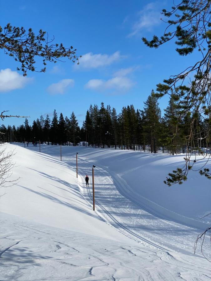 Villa Haukka ساريسيلكا المظهر الخارجي الصورة