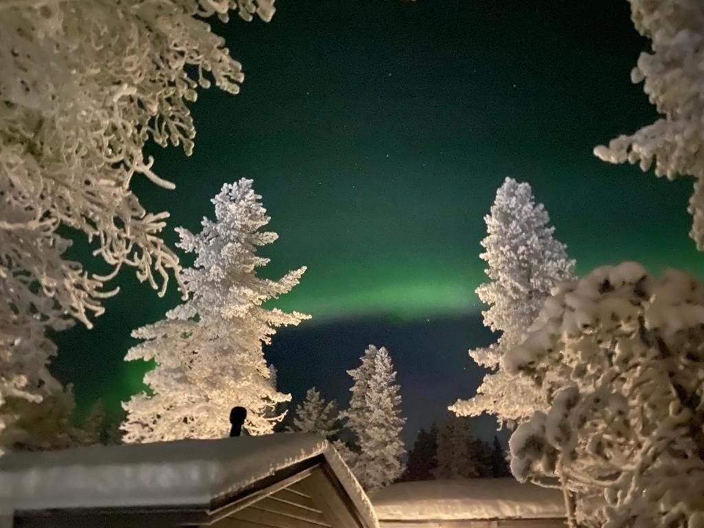 Villa Haukka ساريسيلكا المظهر الخارجي الصورة